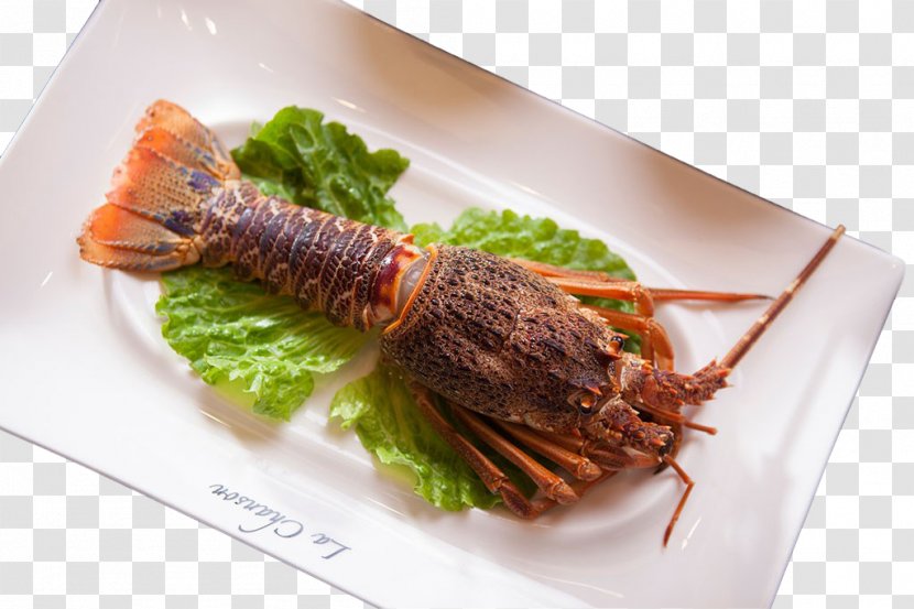 Lobster Seafood Prawn Palinurus Elephas - Dendrobranchiata - Feast Transparent PNG