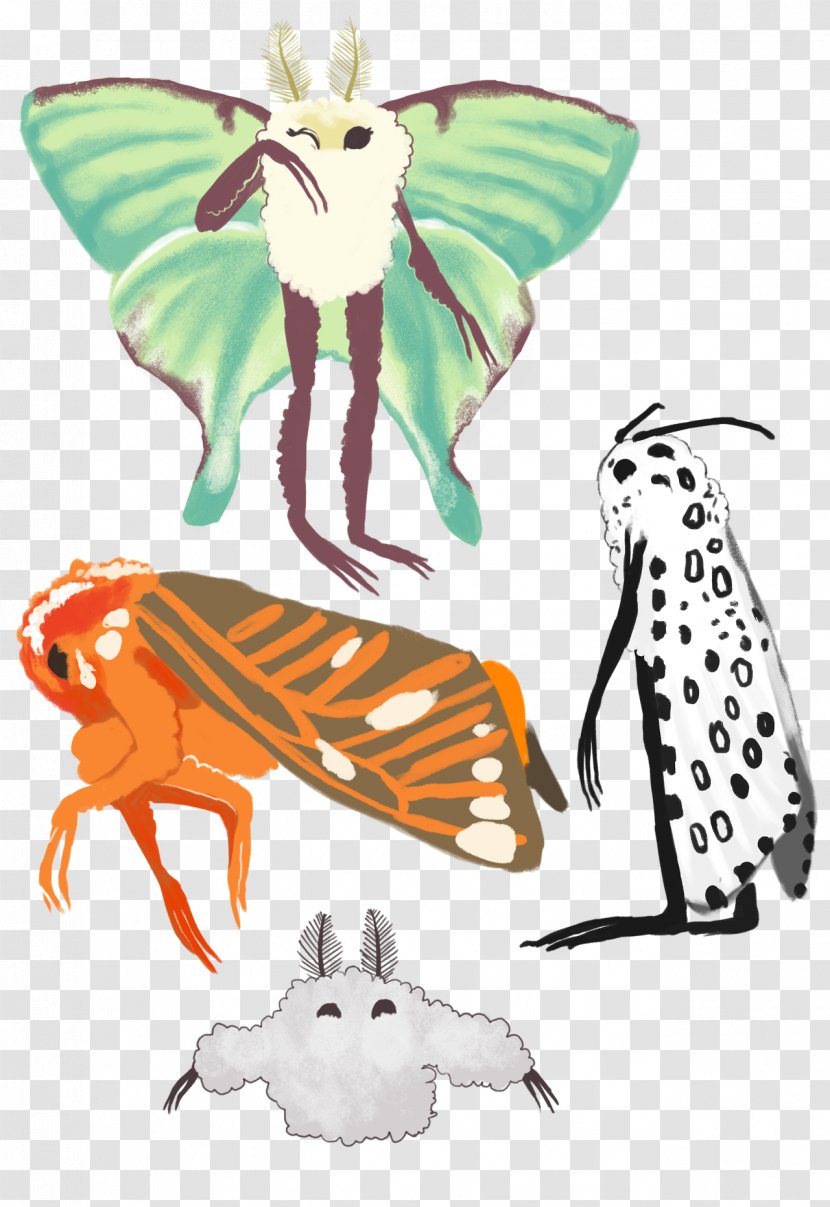 Bigfoot Mothman Cryptozoology Butterfly - Mythical Creature Transparent PNG