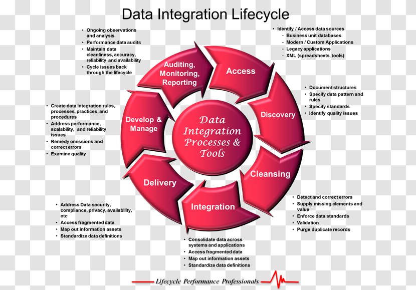 Organization Brand - Diagram - Design Transparent PNG