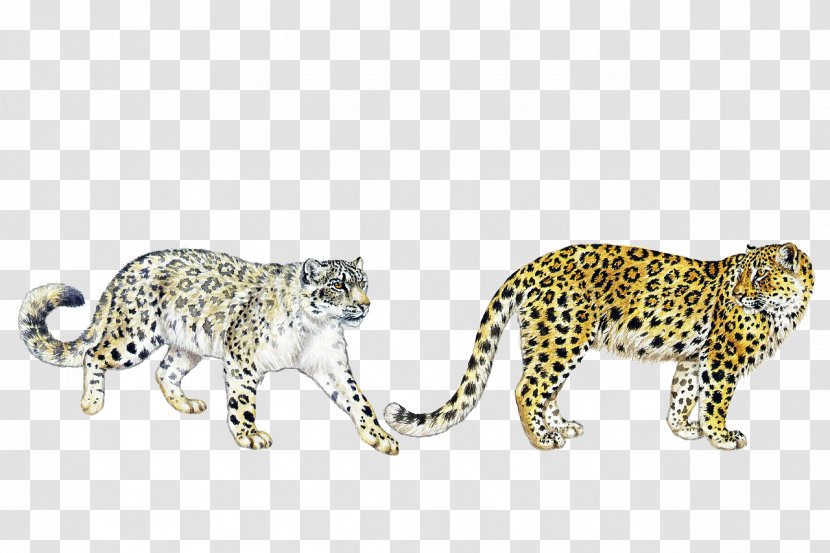 Wild Cats Of The World Leopard Felidae Cheetah - Mammal Transparent PNG