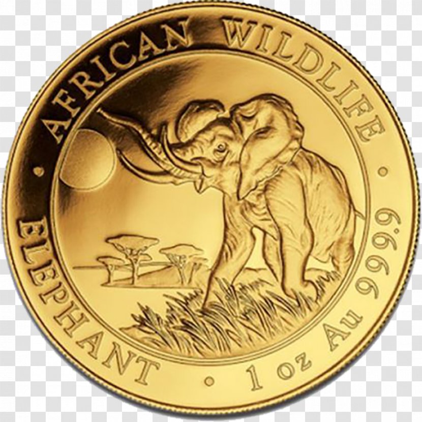 African Elephant Bullion Coin Gold Silver - Metal Transparent PNG