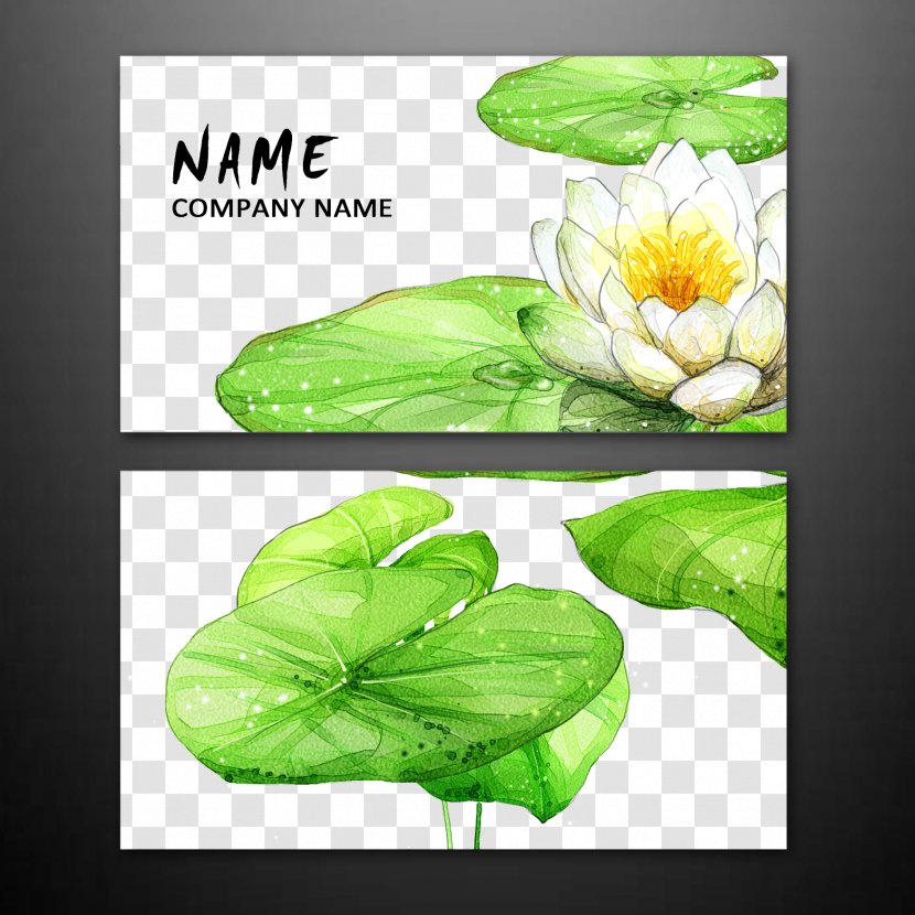 Business Card Design - Green - Lotus Character Transparent PNG