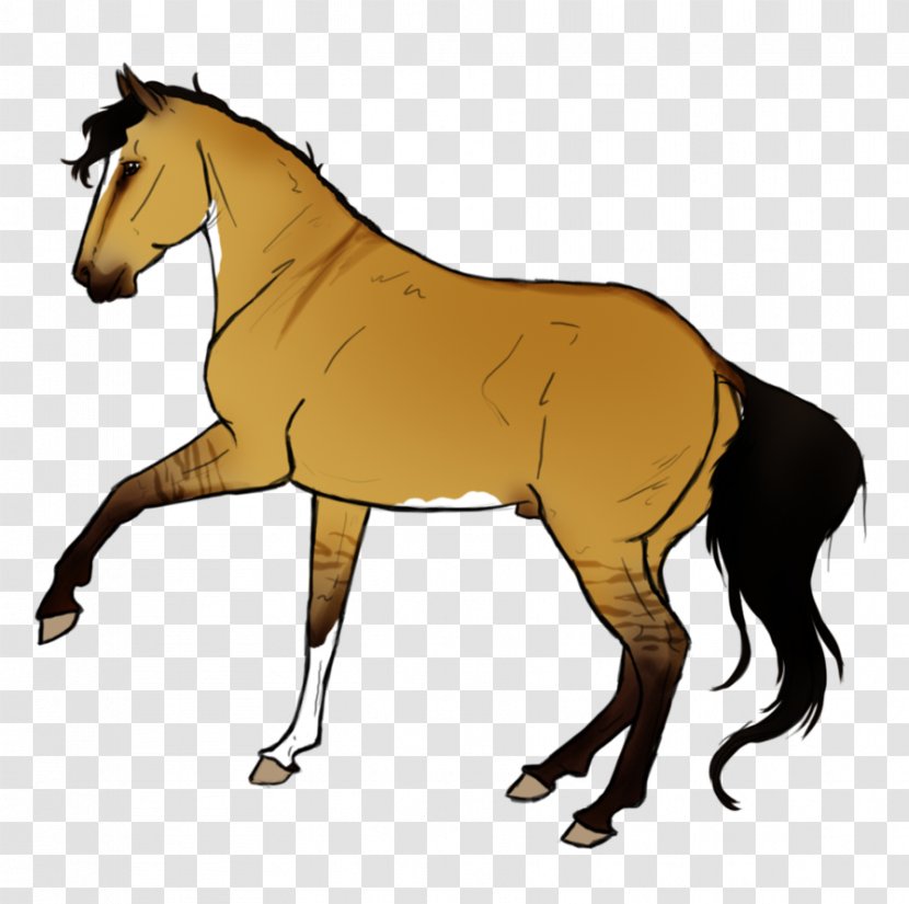 Mule Mustang Foal Stallion Mare - Neck Transparent PNG
