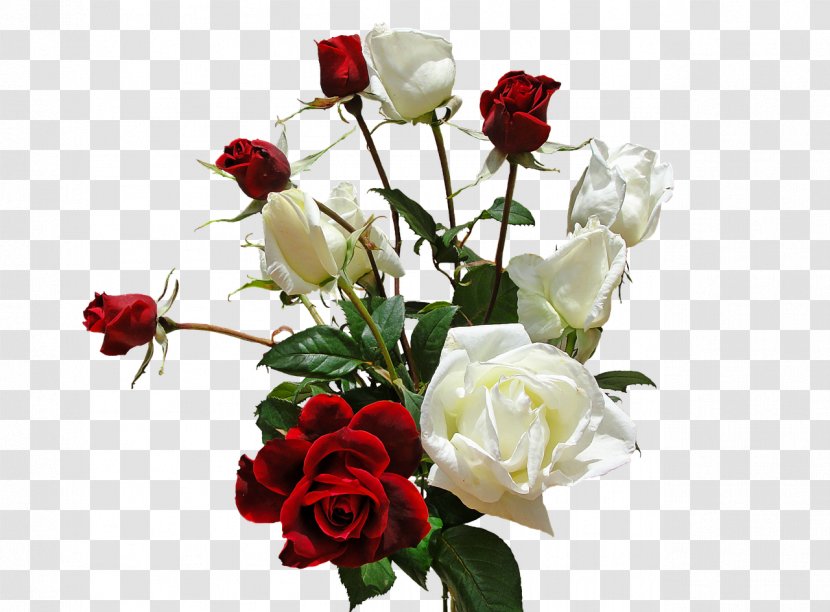 Love Song Romance Heart Boyfriend - White Roses Transparent PNG