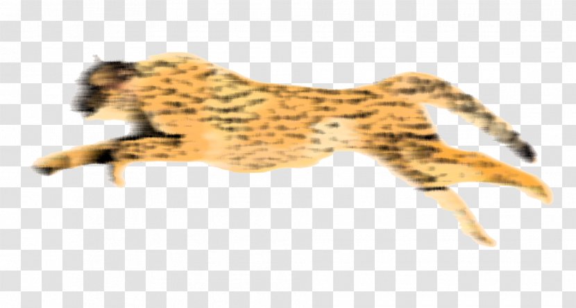 Cheetah Leopard - Mammal - HD Transparent PNG