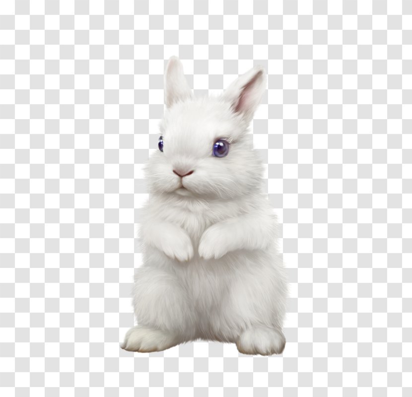 Domestic Rabbit Hare Christmas Clip Art - Gift Transparent PNG