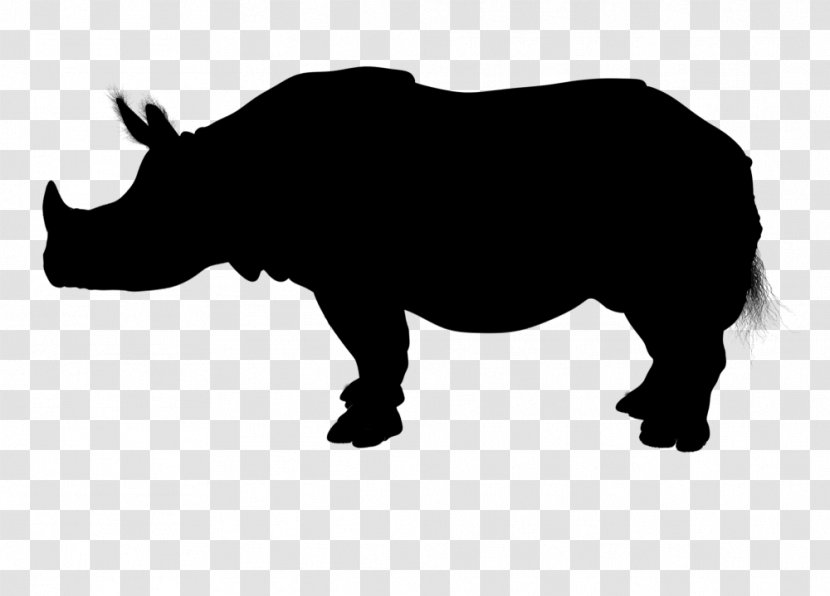 Miniature Zebu Brahman Cattle Vector Graphics Image Silhouette - Animal Figure - Snout Transparent PNG