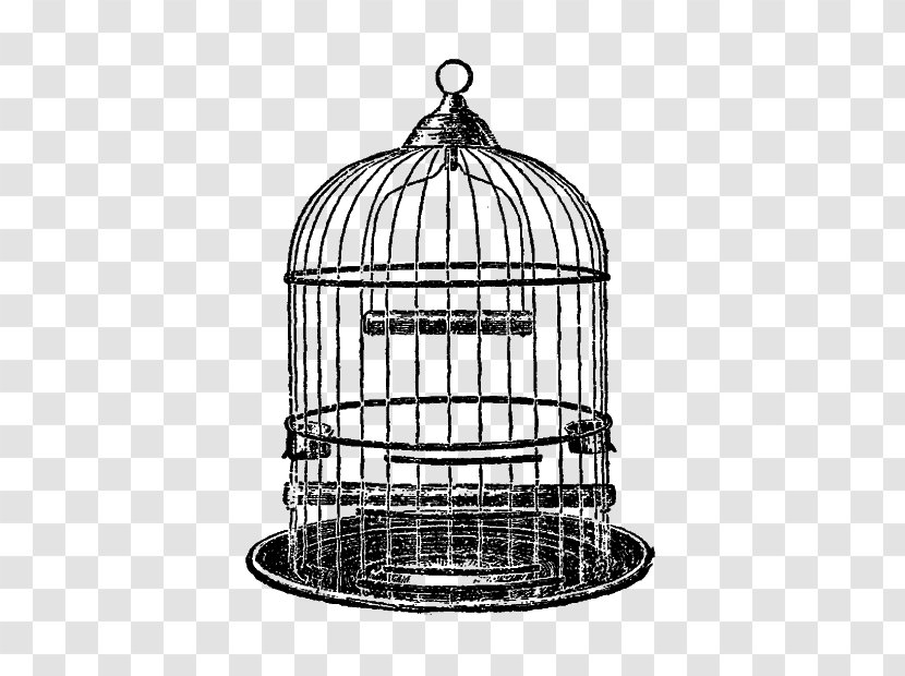 Parrot Birdcage Clip Art Drawing Transparent PNG