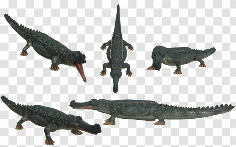 Alligators Crocodile Fauna Terrestrial Animal - Reptile Transparent PNG