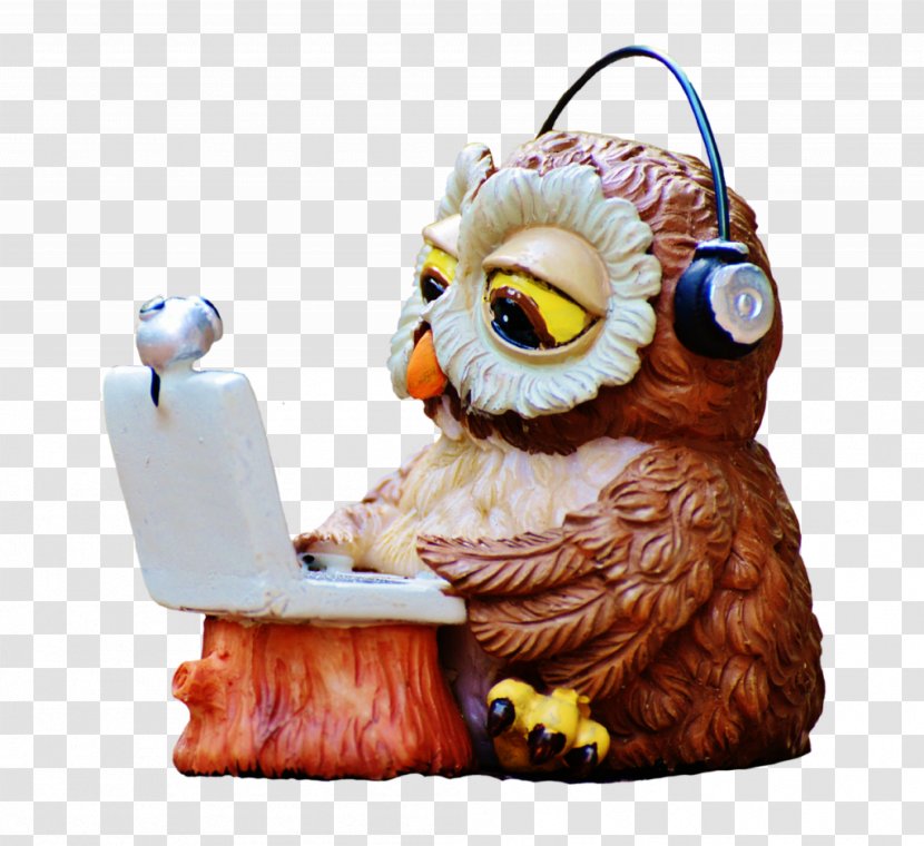 Owl Image Laptop Bird Download Transparent PNG