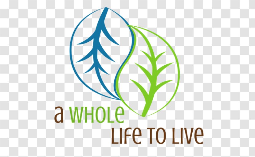 Food Recipe Smoothie Vegetable Meal - Leaf - Live Life Transparent PNG