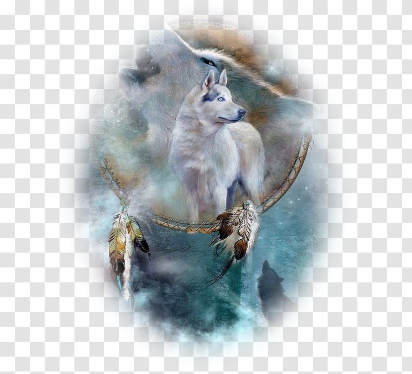 Dreamcatcher Gray Wolf Native Americans In The United States Blanket - Fauna Transparent PNG