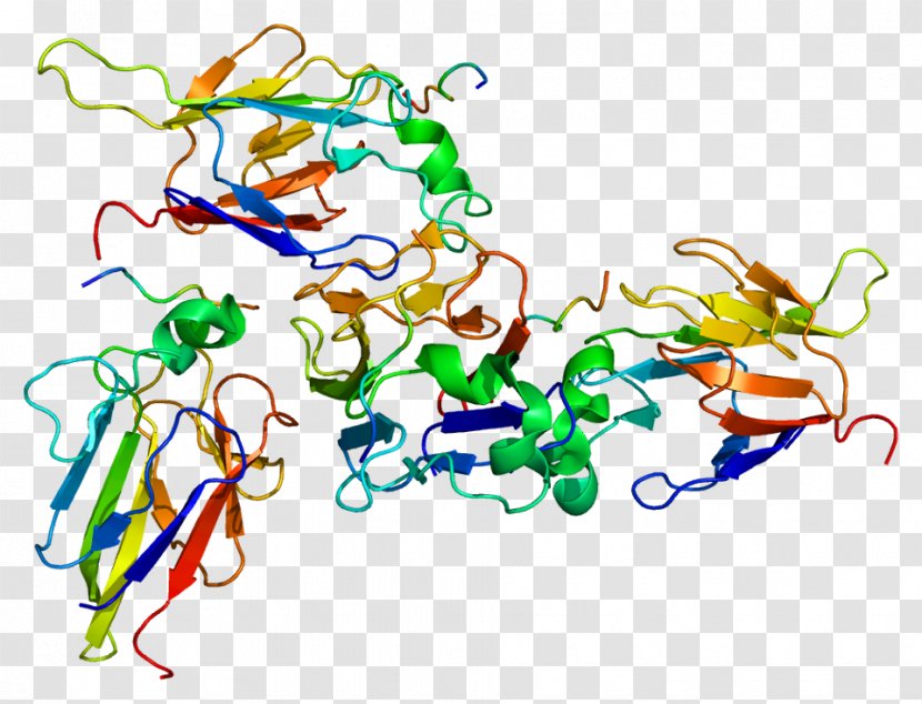 CHEK2 Serine/threonine-specific Protein Kinase BRCA1 Gene - Cell - Fant Jr Transparent PNG