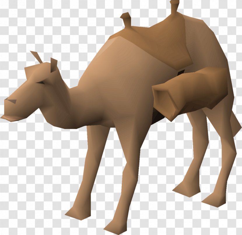 Dromedary Horse Pack Animal Deer Neck - Animation - Rajasthan Camel Transparent PNG
