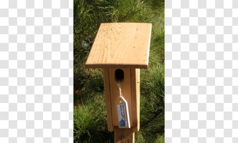Nest Box - Wood - Bird House Transparent PNG