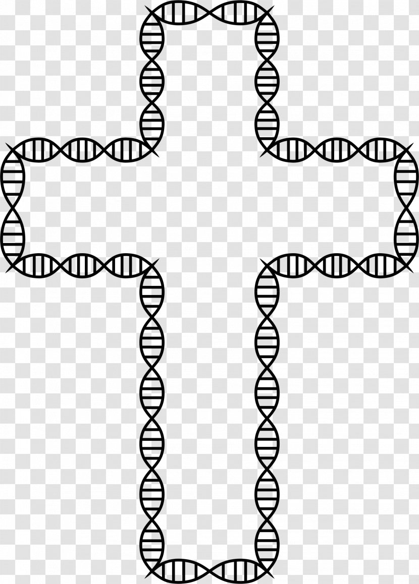 DNA–DNA Hybridization Nucleic Acid Double Helix Gene Biology - Shoe - Dna Transparent PNG