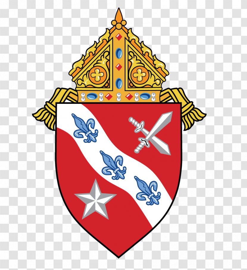 Roman Catholic Diocese Of Dallas Bishop Catholicism Priest - Pope Leo Xiii Transparent PNG