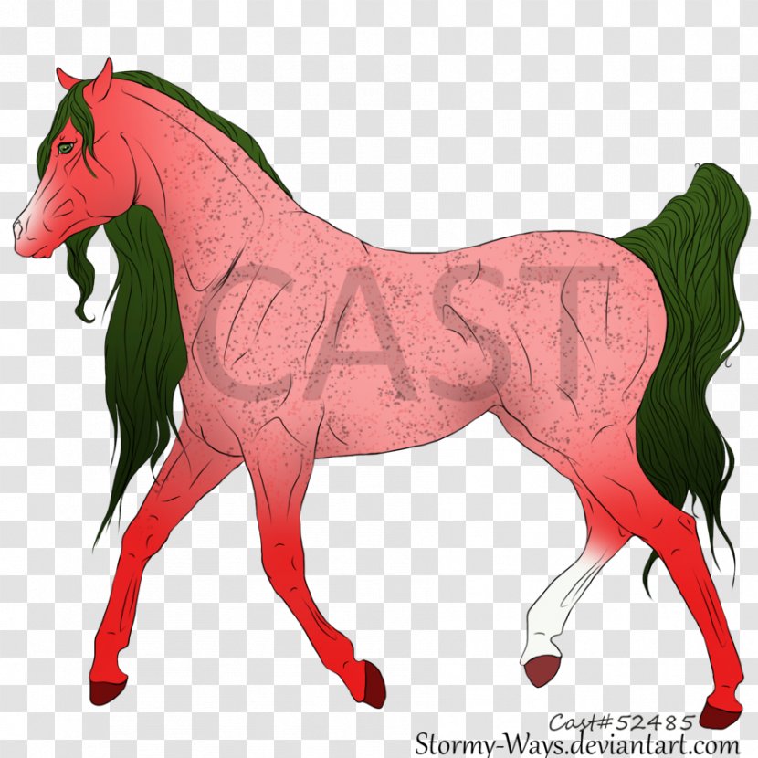 Mane Mustang Stallion Foal Colt - Mare Transparent PNG