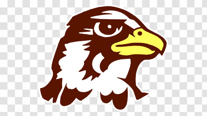 Quincy University Hawks Football Upper Iowa Great Lakes Valley Conference NCAA Division II - Collegeinsidercom Postseason Tournament Transparent PNG