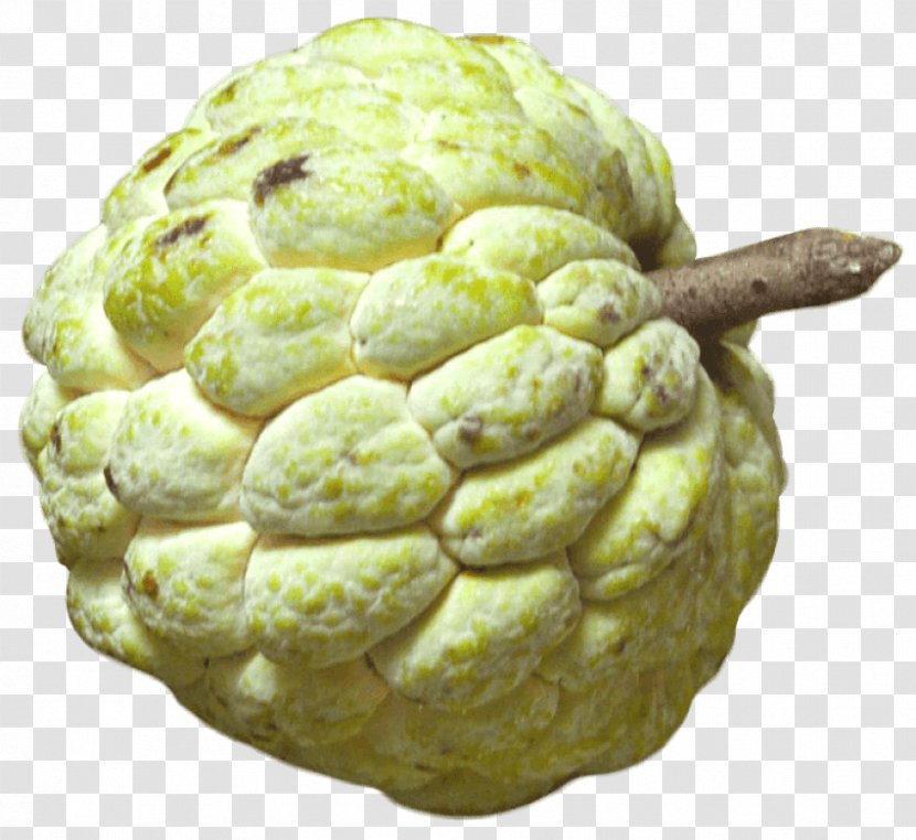 Custard-apple Sugar-apple Cherimoya - Superfood - Sugar Transparent PNG