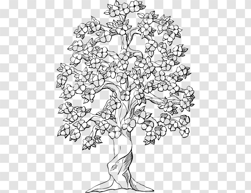 Coloring Book Colouring Pages Tree Oak Trunk - Flora - Eating Grapes Sketch Transparent PNG