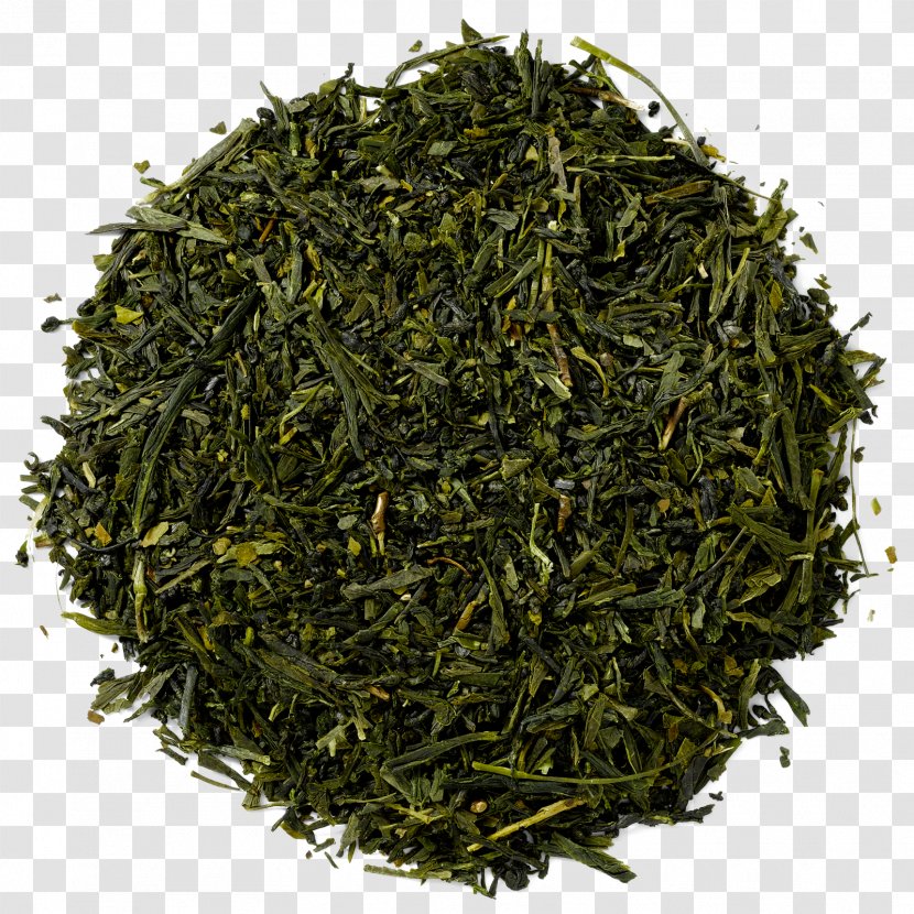 Gyokuro Green Tea Masala Chai Nilgiri - Sencha Transparent PNG