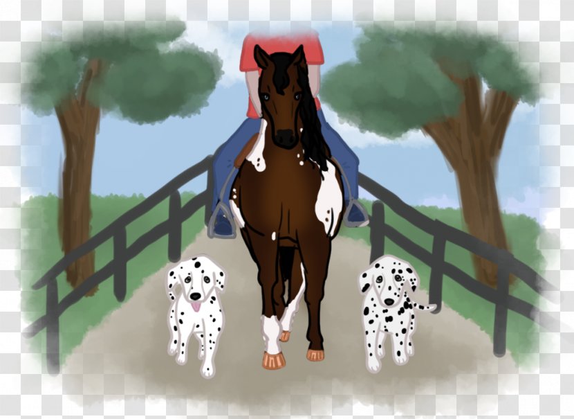 Pony Mustang Foal Mane Halter - Horse Tack - Kennel Club Transparent PNG