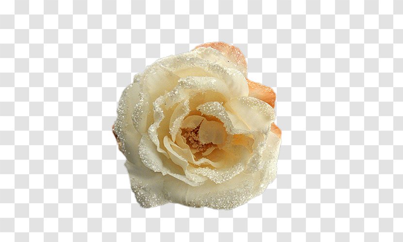 Garden Roses Wedding Ceremony Supply Cut Flowers Petal - Rose Order Transparent PNG