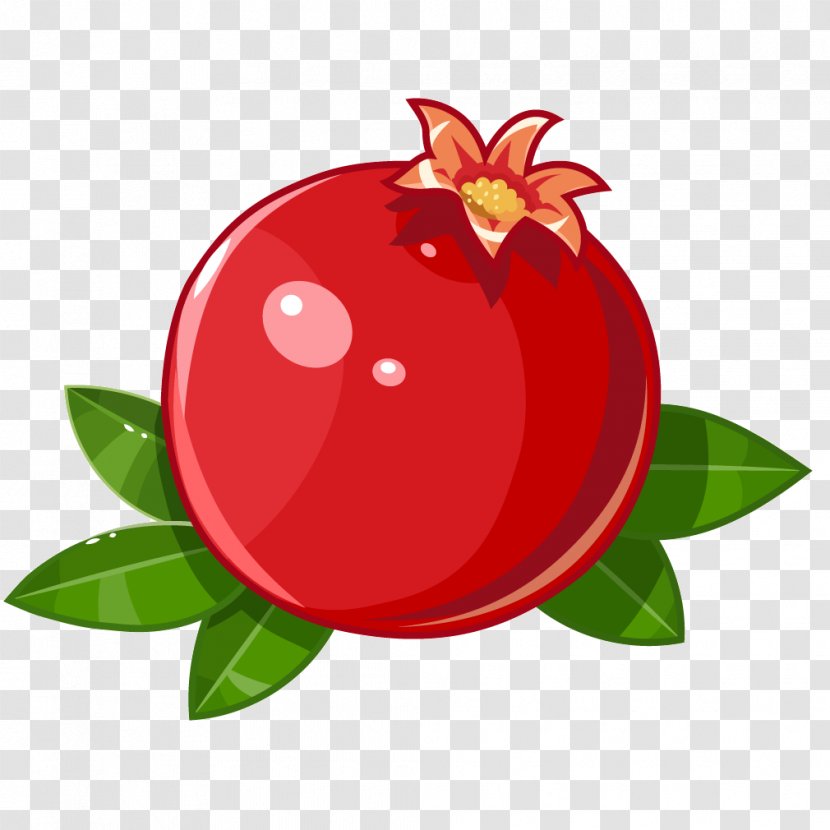 Juice Pomegranate Fruit Stock Illustration - Bright Red Transparent PNG