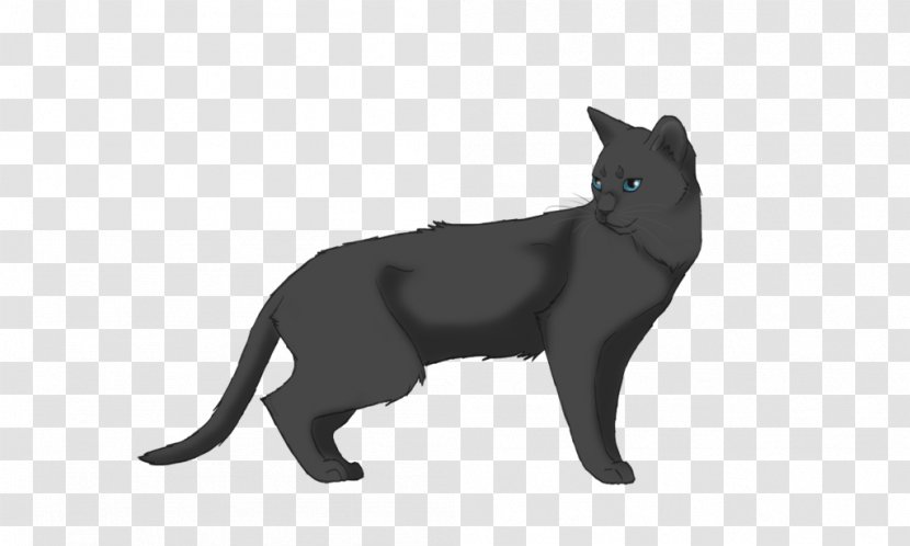 Warriors Erin Hunter Bluestar's Prophecy Ashfoot Cat - Black - Gray Transparent PNG