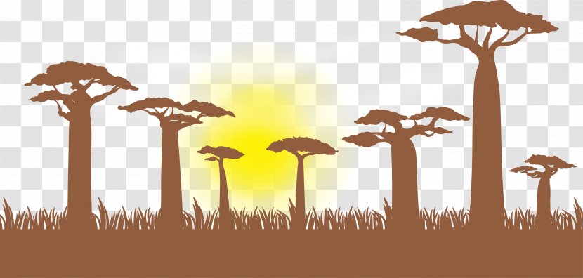 Giraffe Baobab Illustration - Vector Trees Transparent PNG