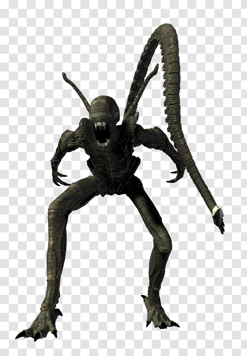Alien Predator - Fictional Character - Xenomorph Transparent PNG