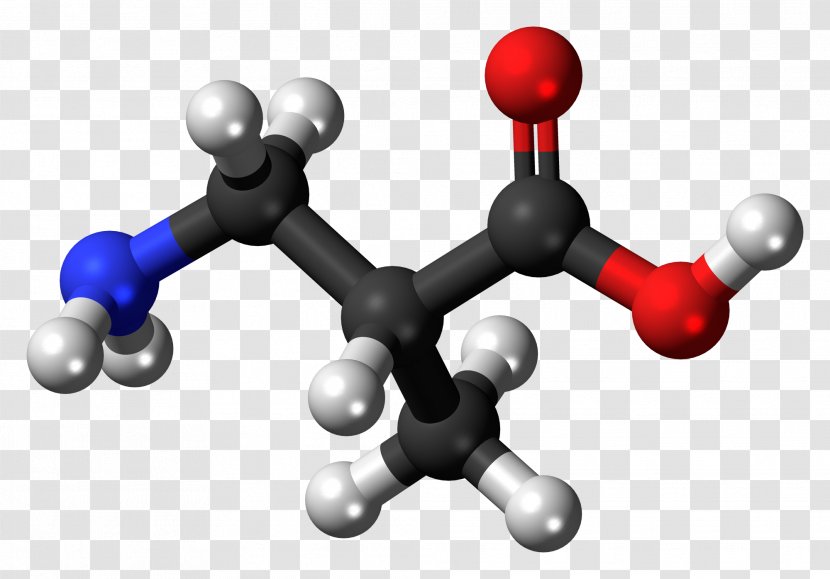 2-Ethylhexanoic Acid 2-Hydroxybutyric Carboxylic Crotonic - Pathway Transparent PNG