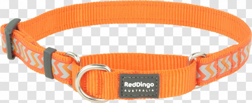 Dog Collar Dingo Martingale - Fashion Accessory - Red Transparent PNG