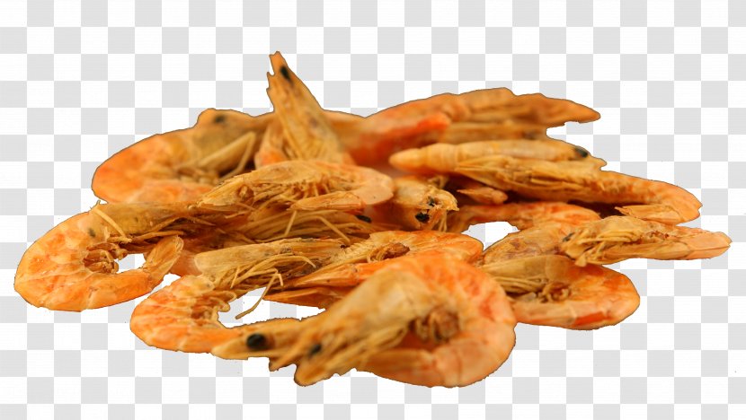 Caridea Fried Shrimp Prawns Frying - Caridean Transparent PNG