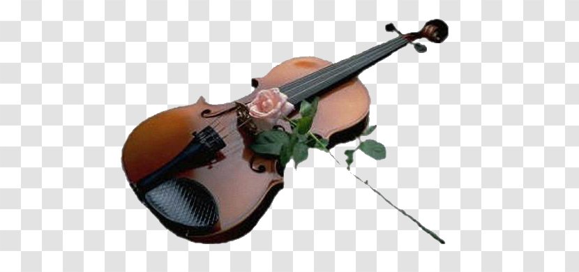 Violin YouTube Musical Instruments - Flower Transparent PNG