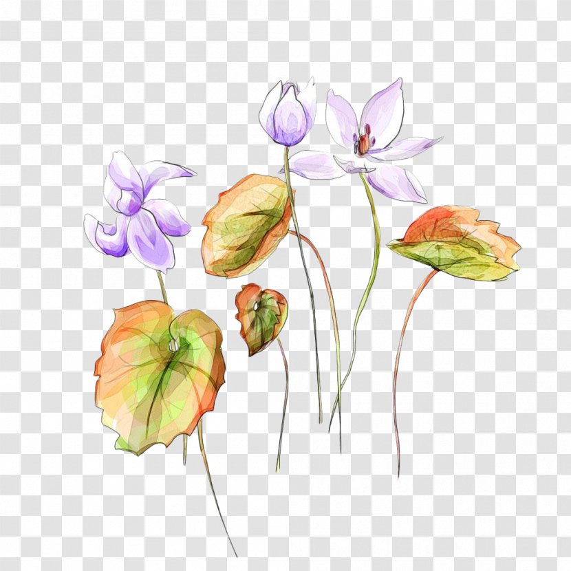 Watercolor Painting Floral Design - Plant Transparent PNG
