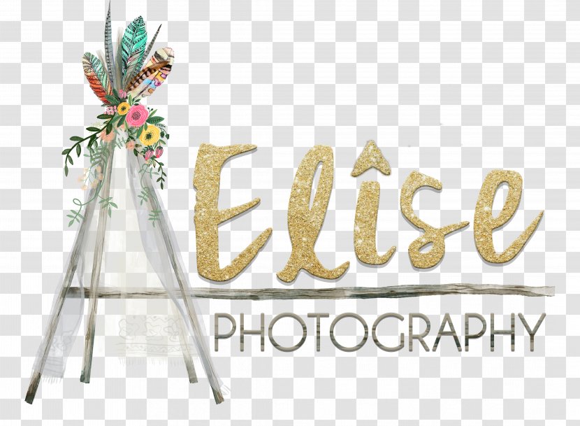 Logo Tipi Photography Brand Font - Child Transparent PNG