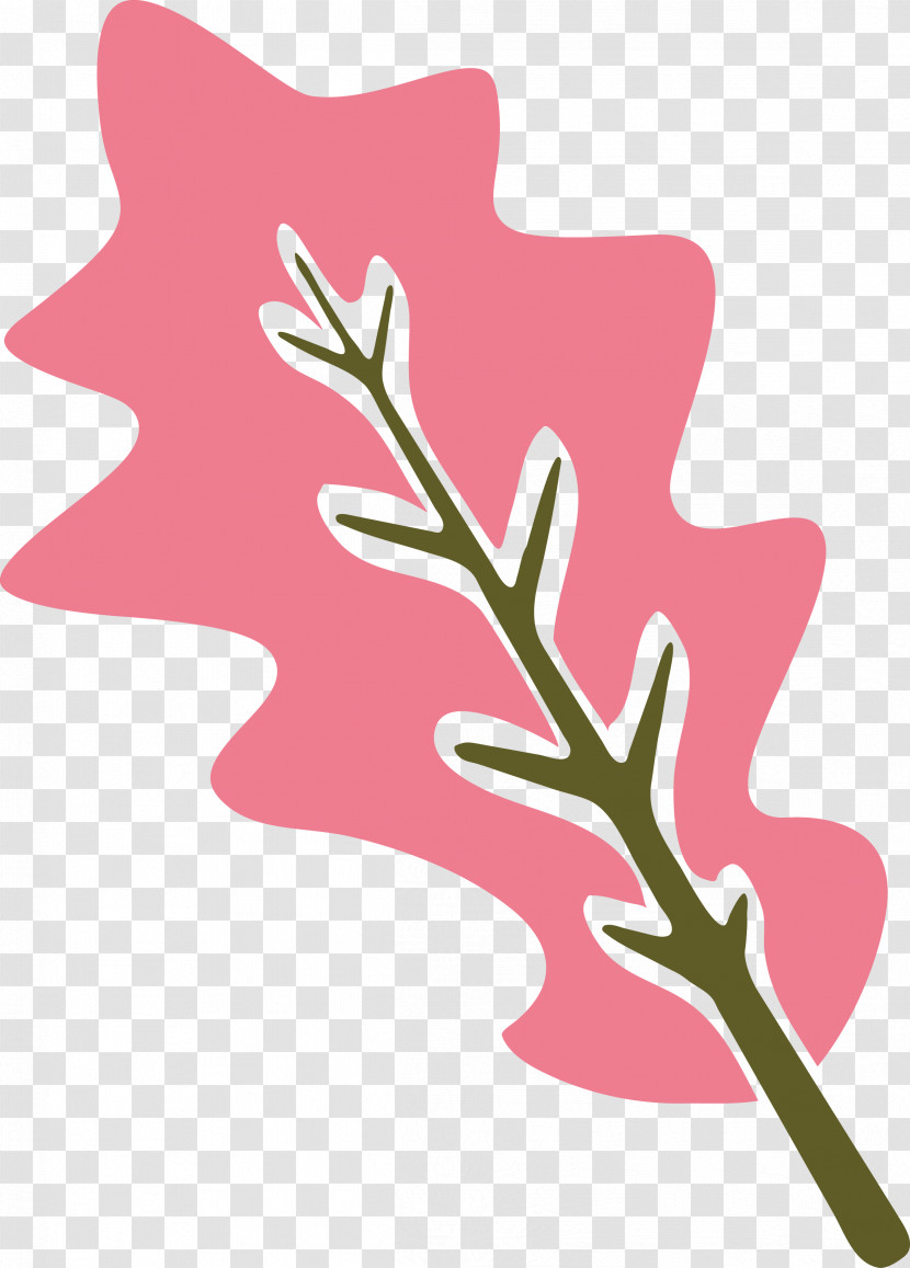 Plant Stem Leaf Petal Pink M Meter Transparent PNG