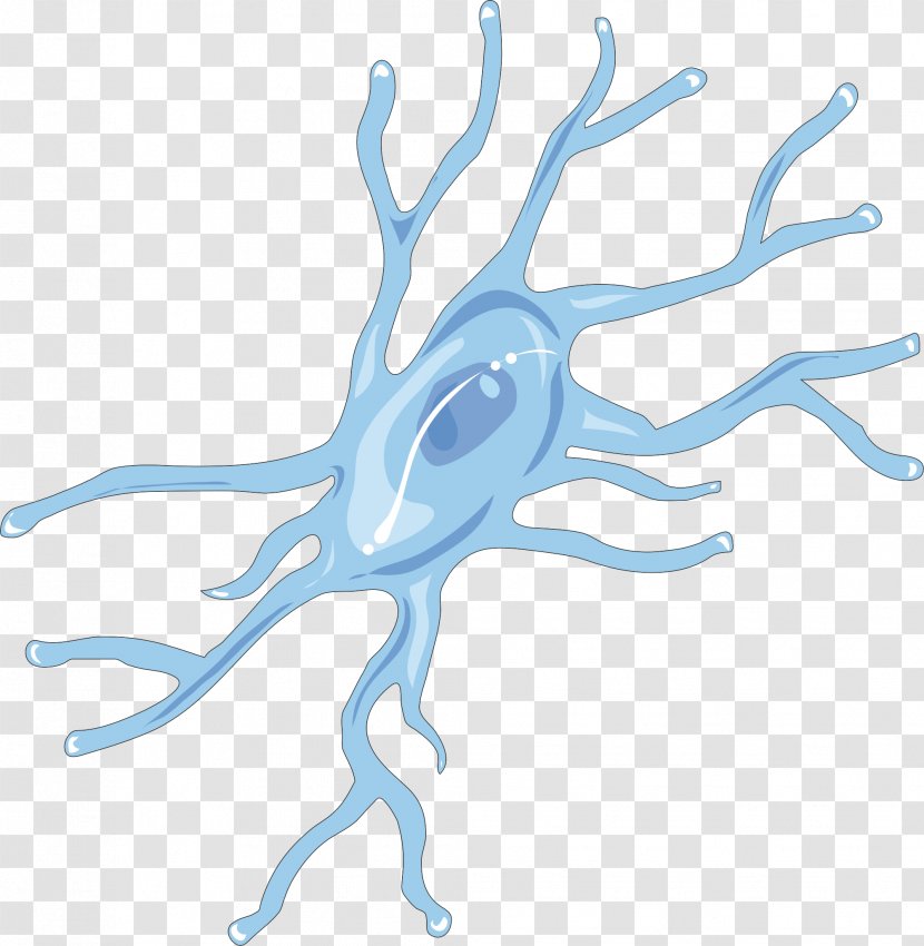 Microglia Brain Neuroglia Cell Remyelination - Cartoon - Drug Transparent PNG