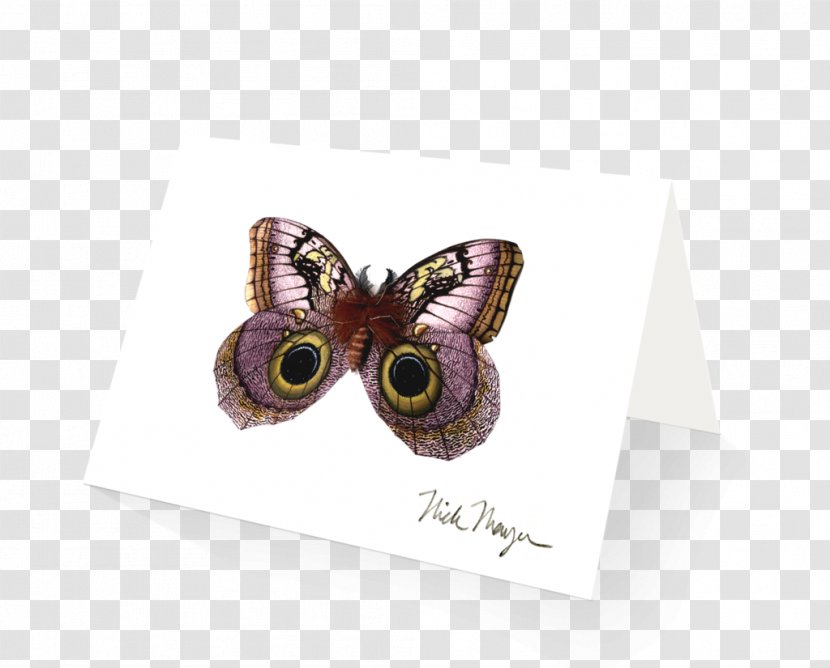 Purple - Moths And Butterflies Transparent PNG