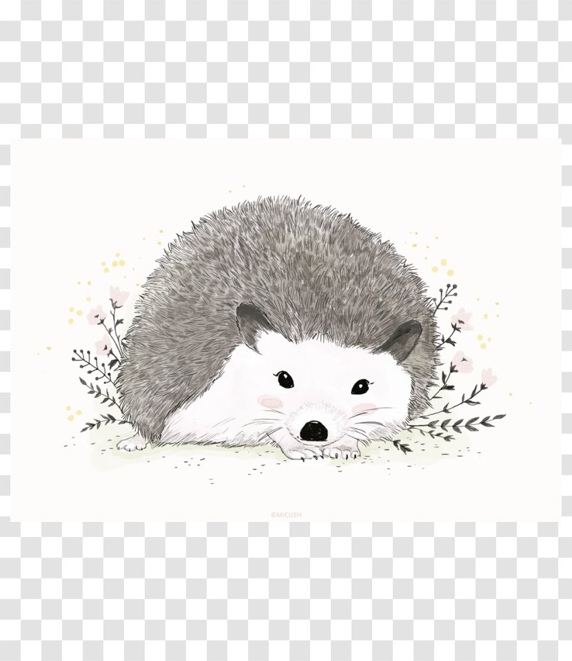 Domesticated Hedgehog European Porcupine Painting - Printmaking Transparent PNG