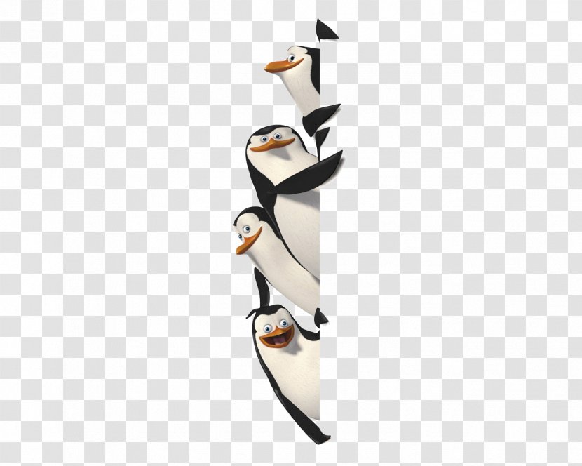 Madagascar Film Animation Wallpaper - Penguin - Pinguin Transparent PNG
