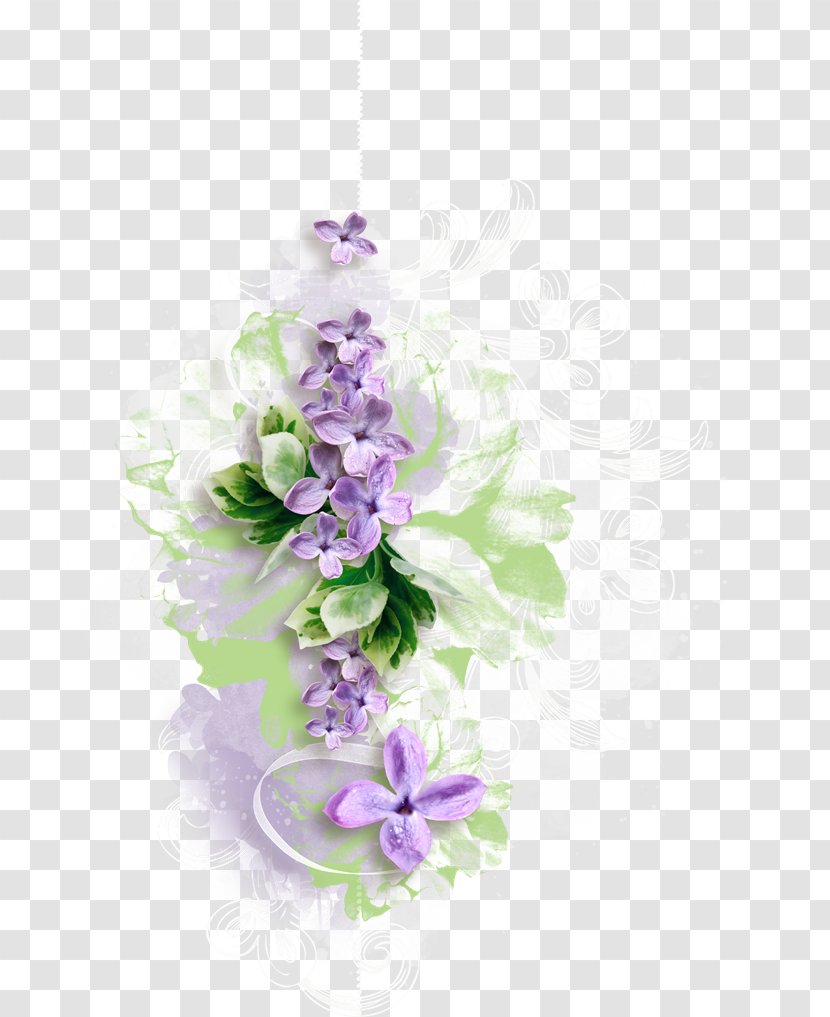 Lilac Cut Flowers Floral Design Transparent PNG