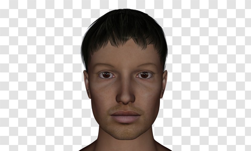 Eyebrow Face Facial Expression Cheek - Head - Eye Brow Transparent PNG