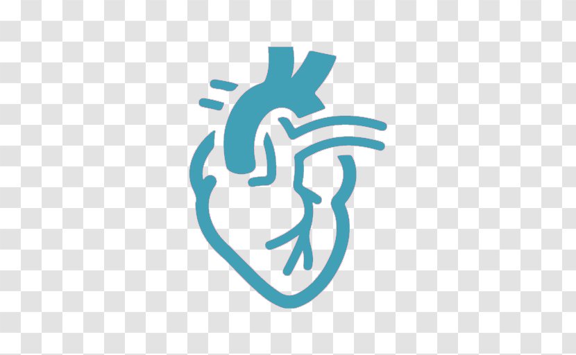 Cardiology Hospital Physician Medicine Heart - Surgery Transparent PNG