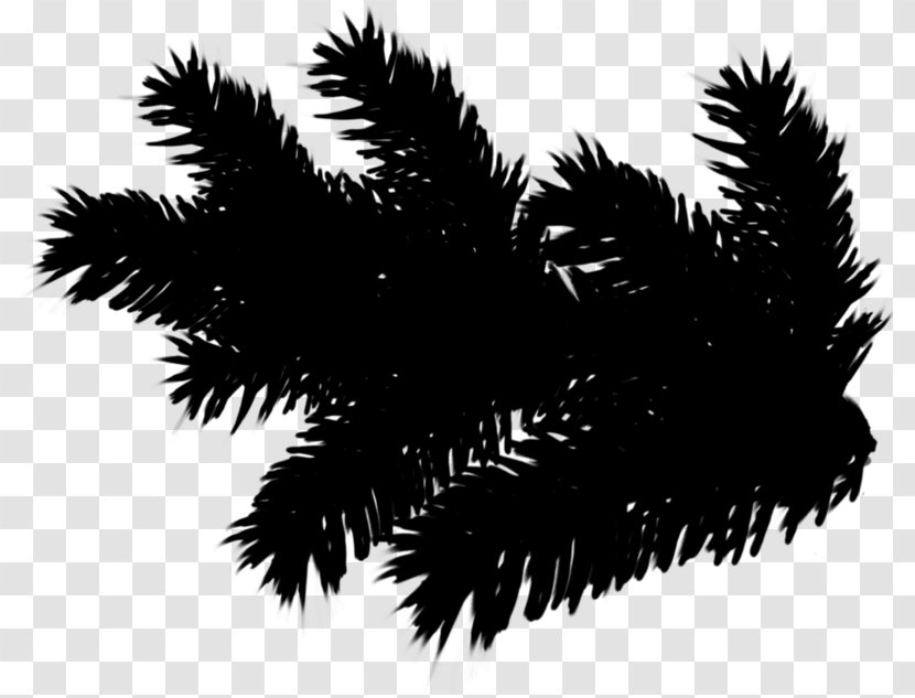 Spruce Twig Fir Tree Clip Art - Christmas Transparent PNG