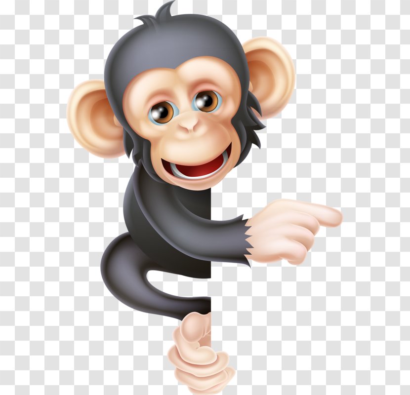 Common Chimpanzee Orangutan Ape Stock Photography Monkey - Cute Little Transparent PNG