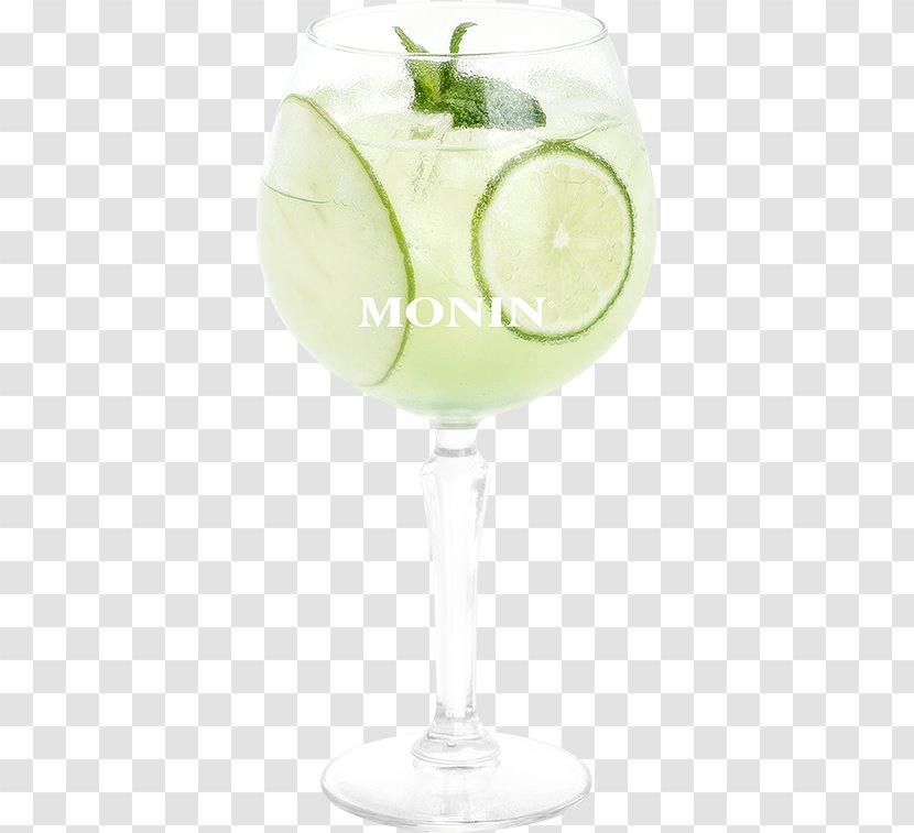 Cocktail Garnish Gin And Tonic Margarita Gimlet Transparent PNG