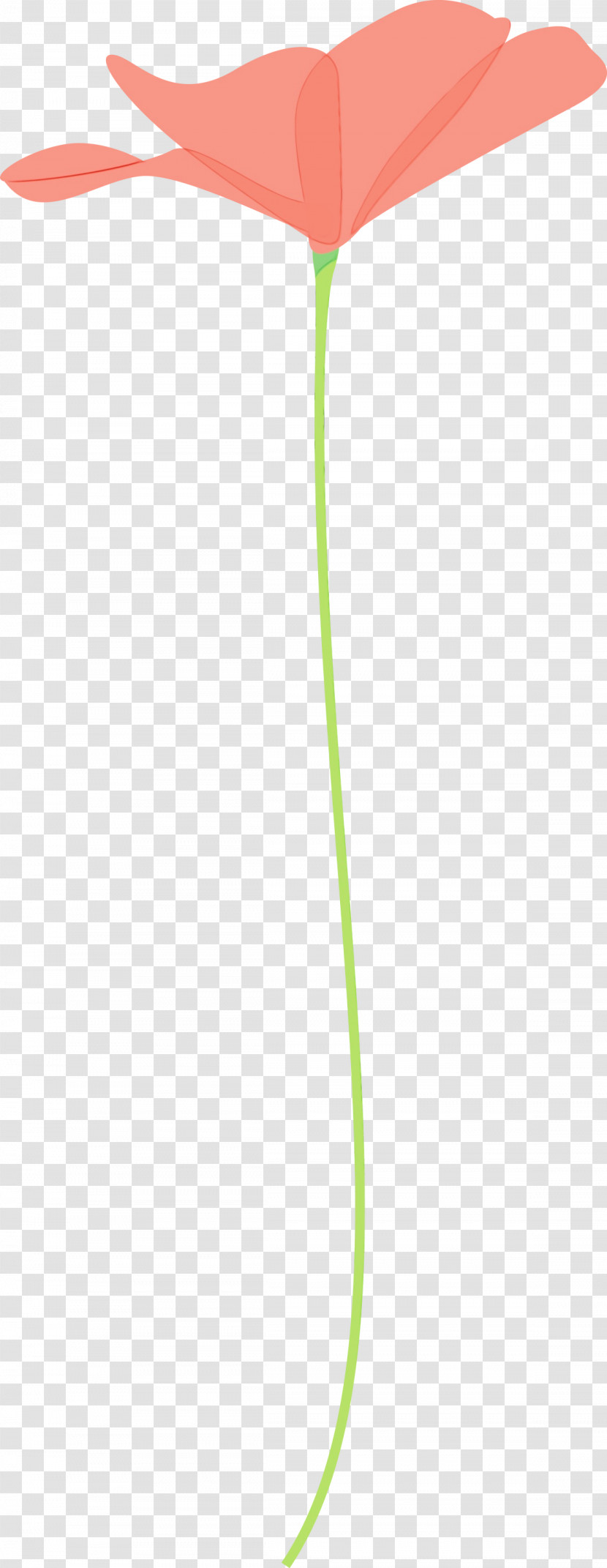 Green Plant Plant Stem Transparent PNG